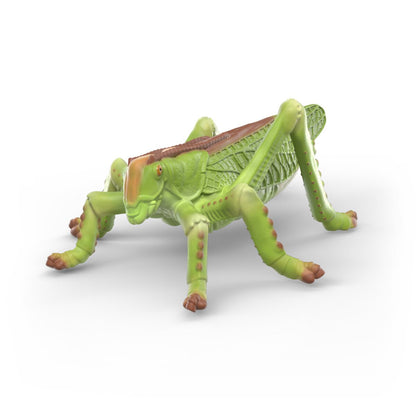 Schleich - Insects Discovery Set 42741 – WILD LIFE Playet