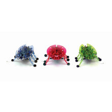 HEXBUG Beetle
