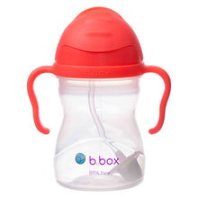 B.Box Essential Sippy Cup - Watermelon