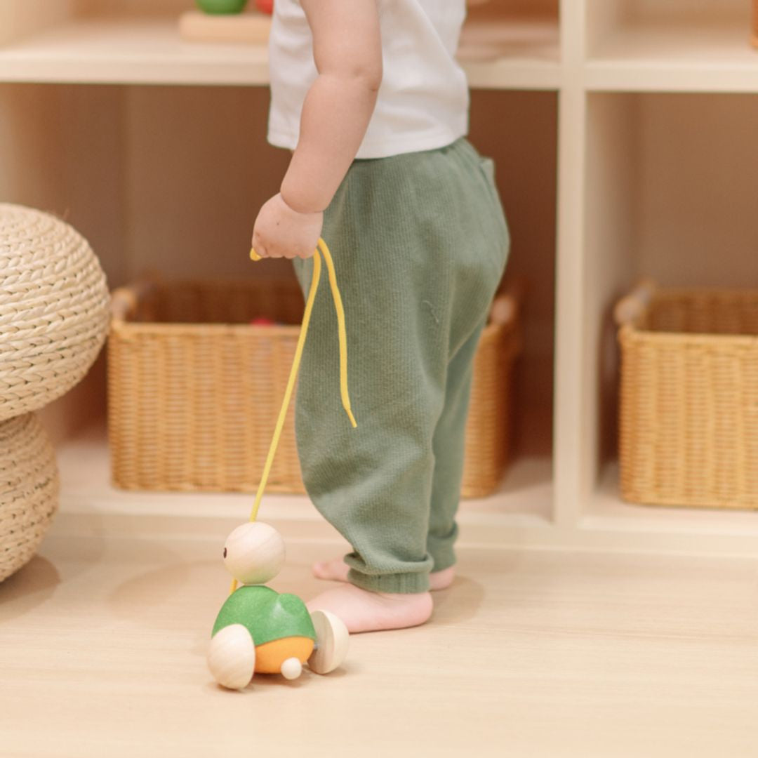 PlanToys - Montessori-Inspired Pull-Along Duck