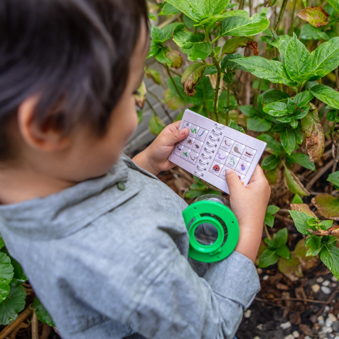 Tiger Tribe - Bug Spotter Kit