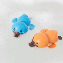 Tiger Tribe - Bath Racers - Platypuses