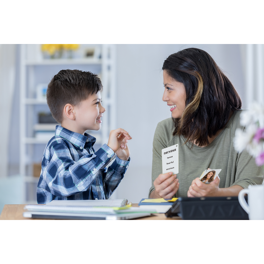 Teacher Created Resources - Emotions Flash Cards