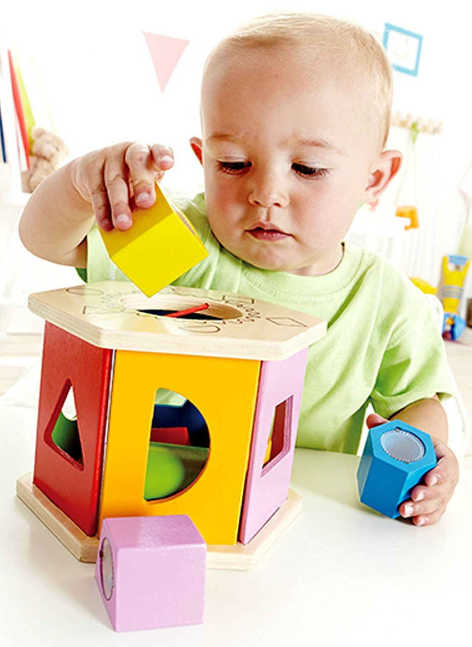 Hape Shake ‘n Match Shape Sorter