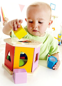 Hape Shake ‘n Match Shape Sorter