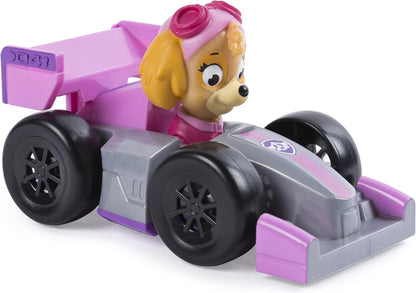 Paw Patrol - Rescue Racer - Skye's Roadster
