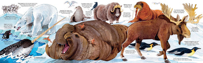 Usborne - Big Book of Animals