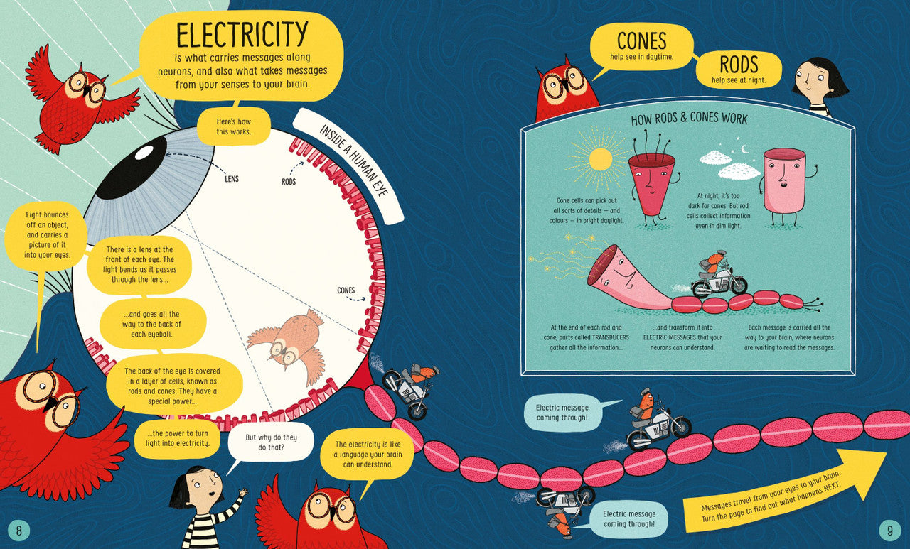 Usborne- Book of the Brain and How it Works