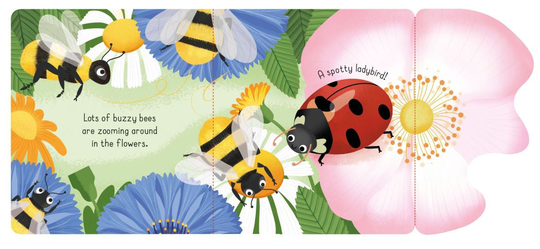Usborne - Little Lift and Look Bugs
