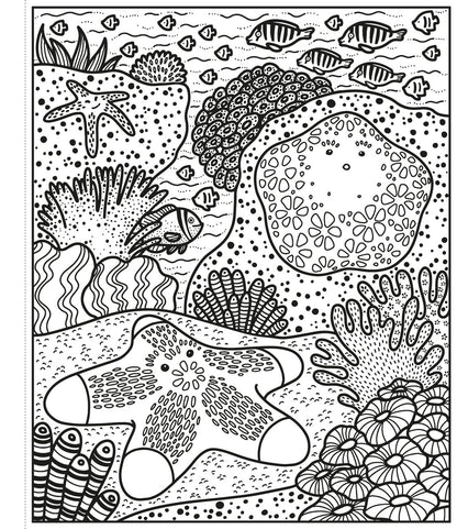 Usborne - Coral Reef Magic Painting Book
