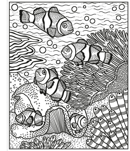 Usborne - Coral Reef Magic Painting Book