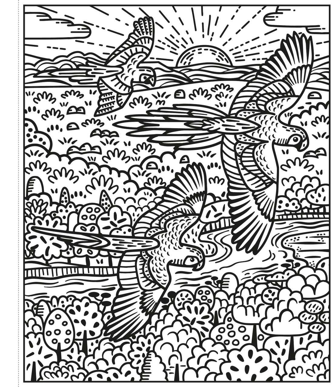 Usborne - Birds Magic Painting Book