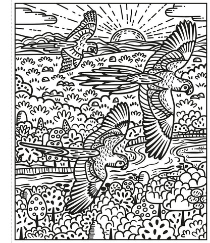 Usborne - Birds Magic Painting Book