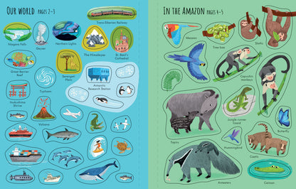 Usborne First Sticker Book: Planet Earth