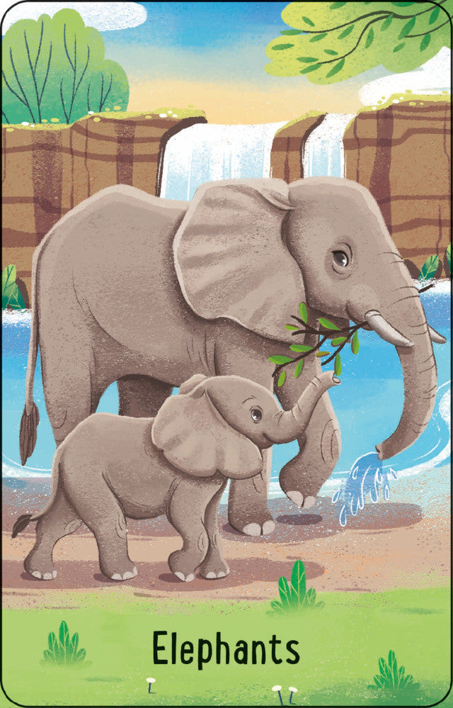 Usborne - Zoo Snap