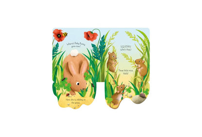 Usborne - Little Lift and Look Baby Bunny