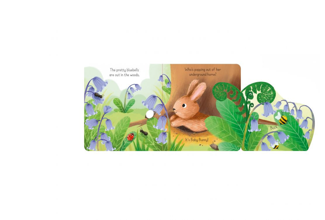 Usborne - Little Lift and Look Baby Bunny