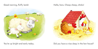 Usborne - Find the Duck on the Farm