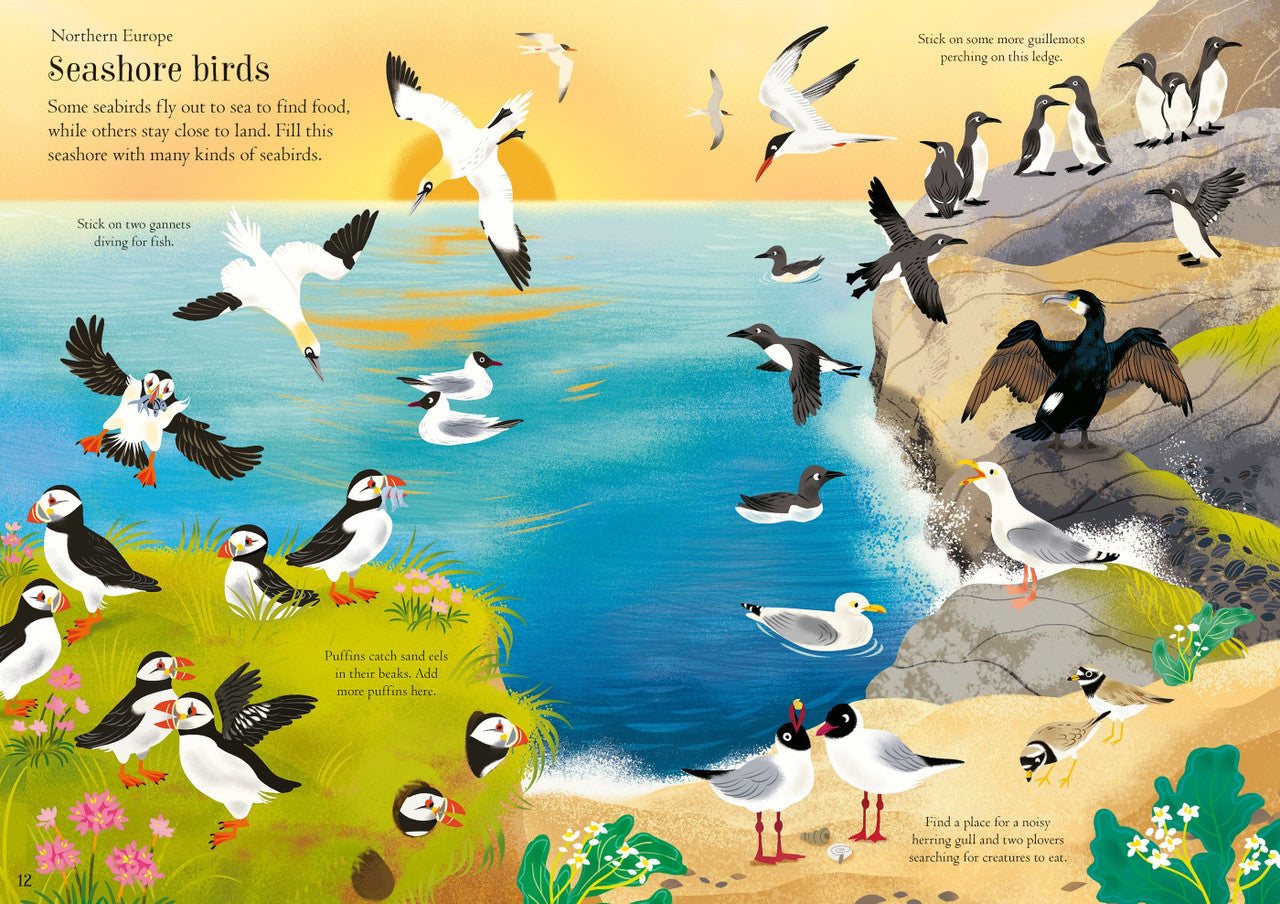 Usborne - Little First Stickers - Birds