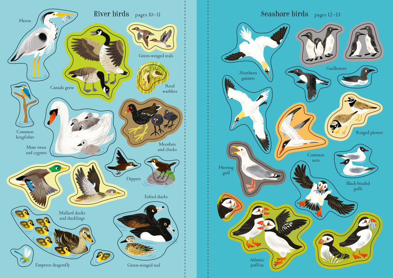Usborne - Little First Stickers - Birds