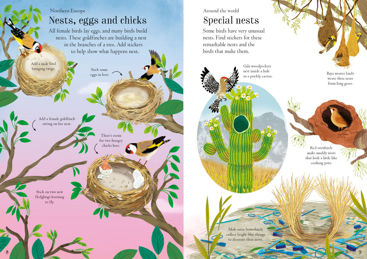 Usborne - Little First Stickers - Birds