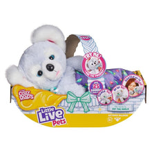 Little Live Pets - Cozy Dozys -  Kip The Koala