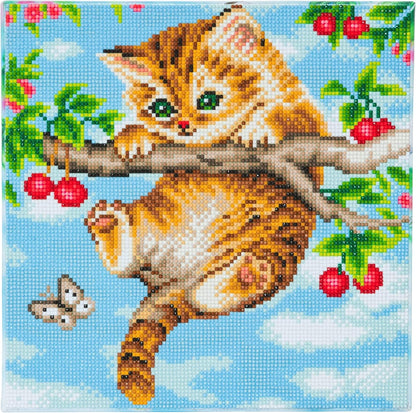 Crystal Art - Cherry Kitten 30x30cm Kit product image 1