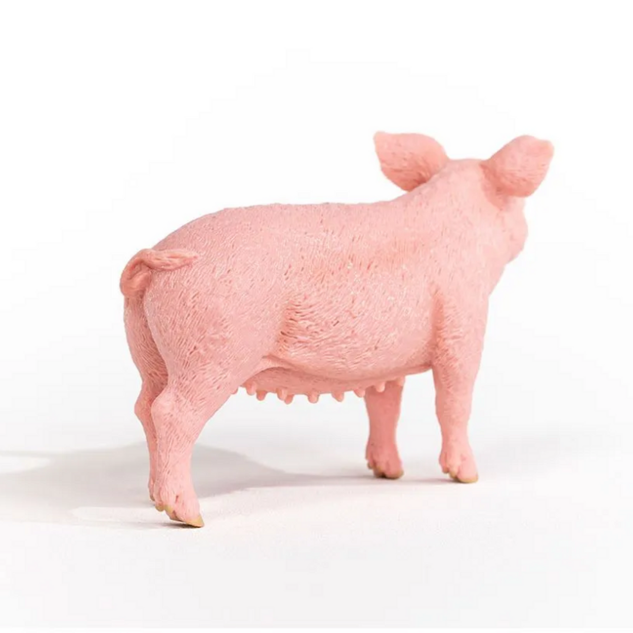 Schleich Farm World - Pig | 13933
