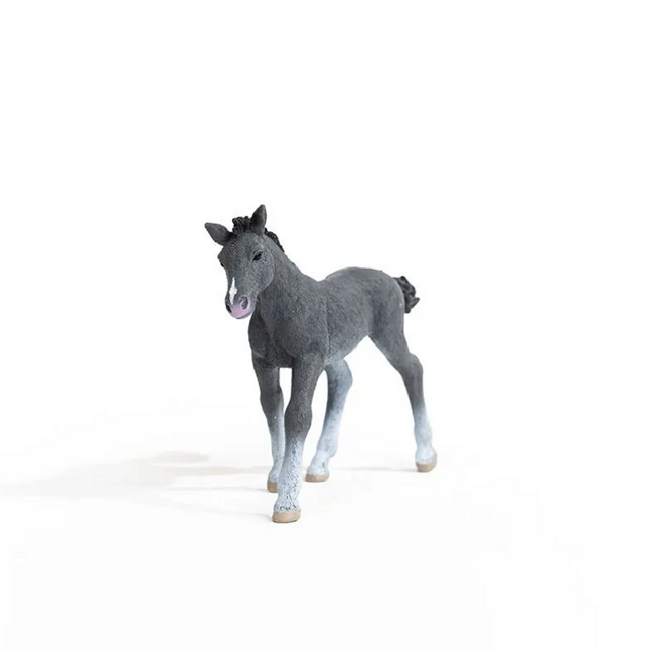 Schleich Horses - Trakehner Foal 13944