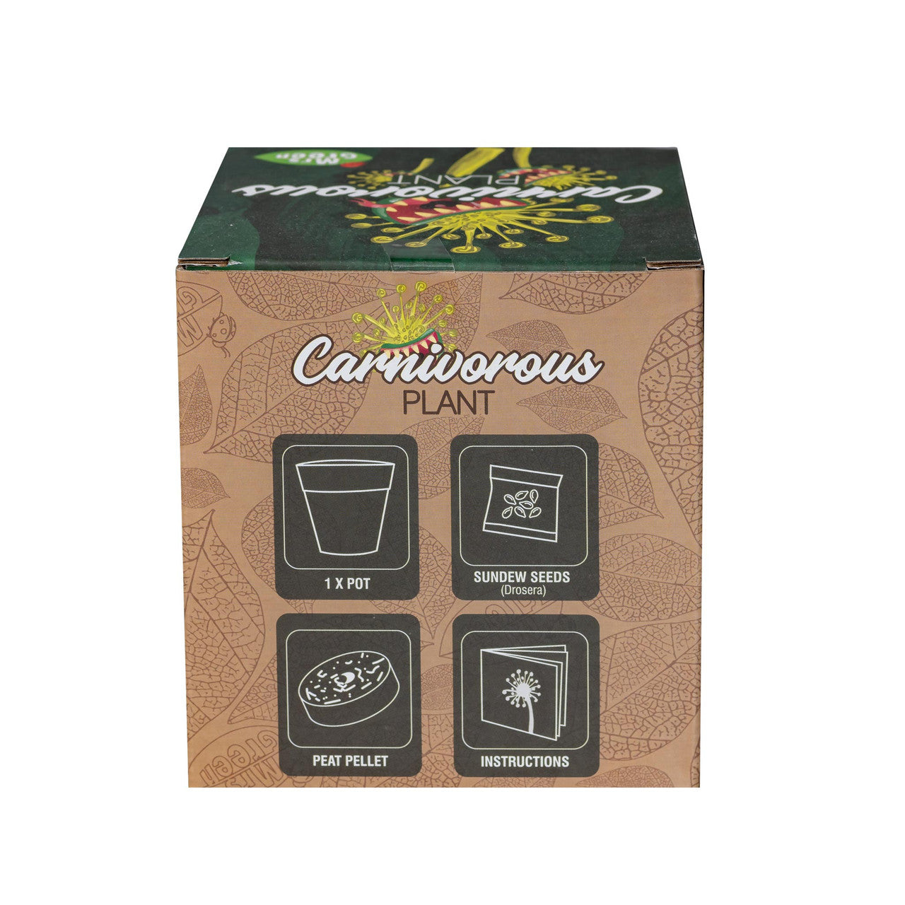 Mrs Green - Grow Your own Carnivorous Plant