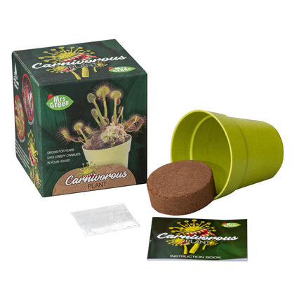 Mrs Green - Grow Your own Carnivorous Plant