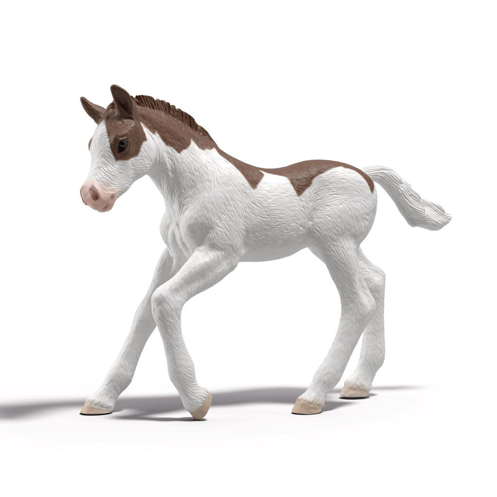 Schleich Horses - Collectible Foal - Dipper 81459