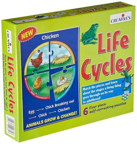 Creative's - Life Cycles