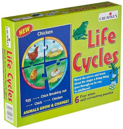 Creative's - Life Cycles