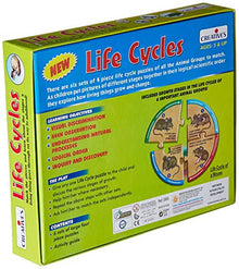Creative's - Life Cycles