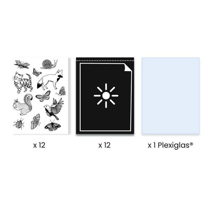 Djeco - Cyanotype Starter Kit