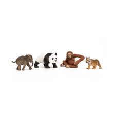 Schleich Wild Life - Asia Starter Set 42736