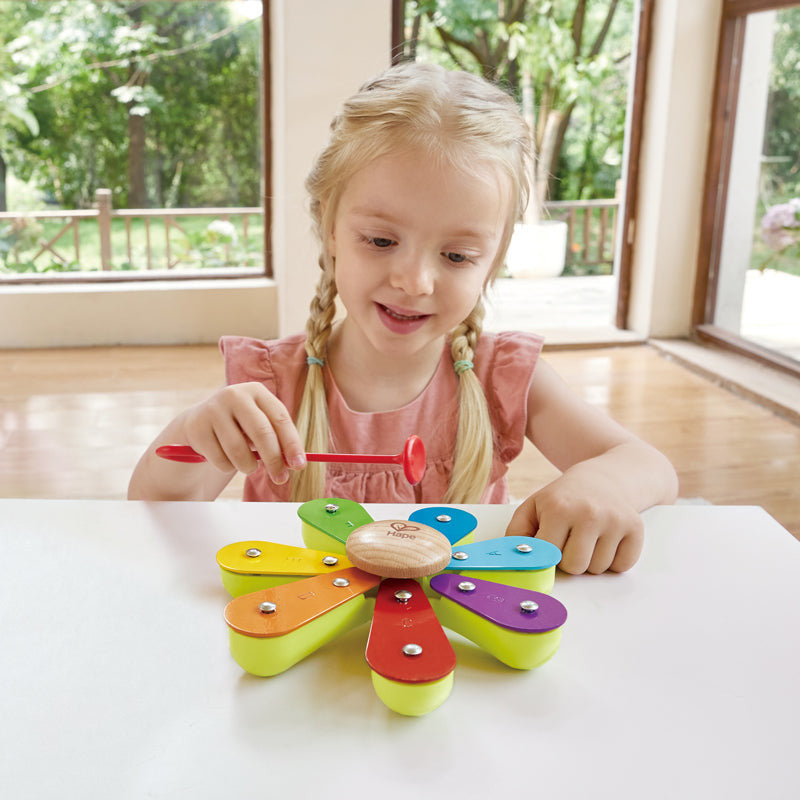 Hape - Nature Band Rhythm Kit
