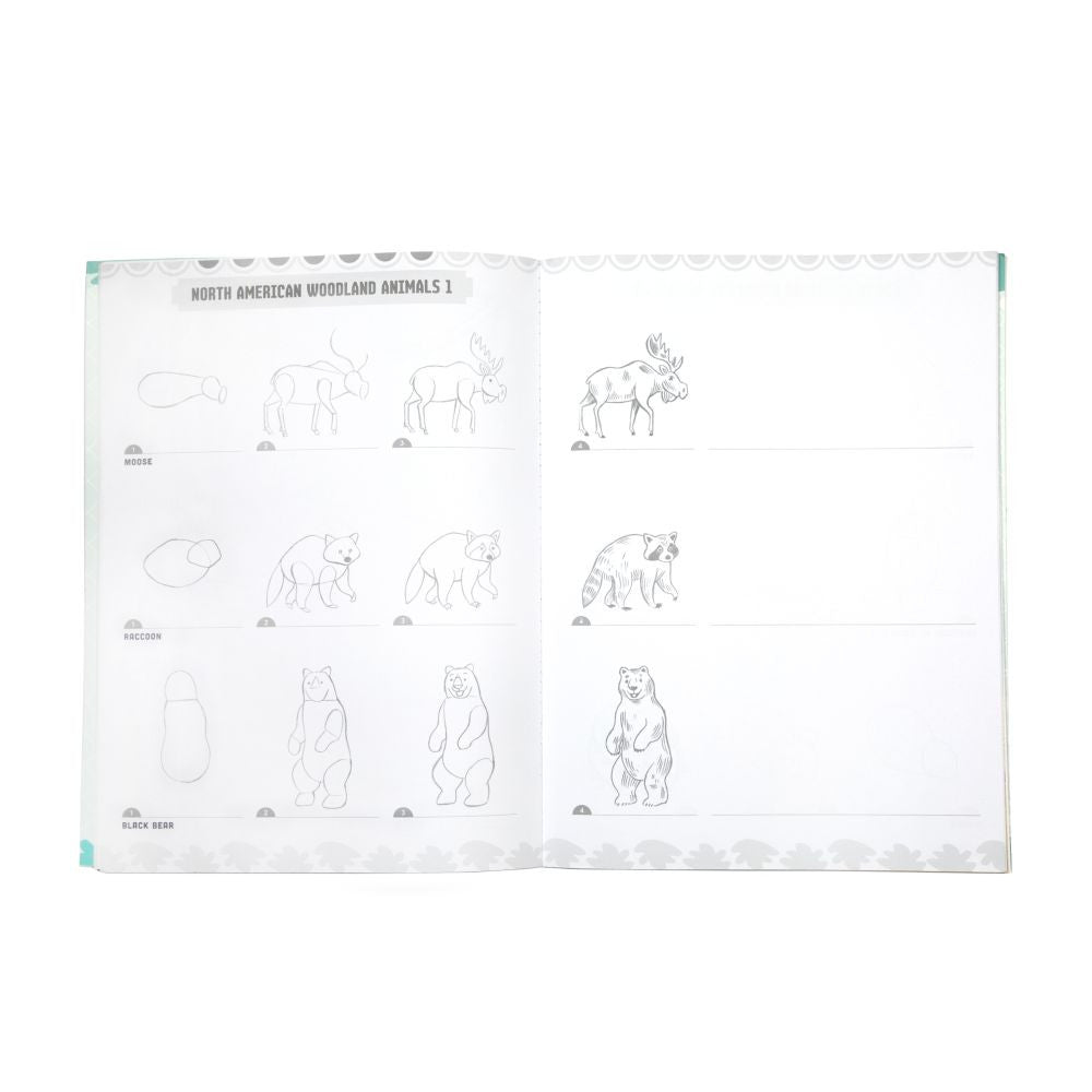 eeBoo - Learn to Draw - Wild Animals