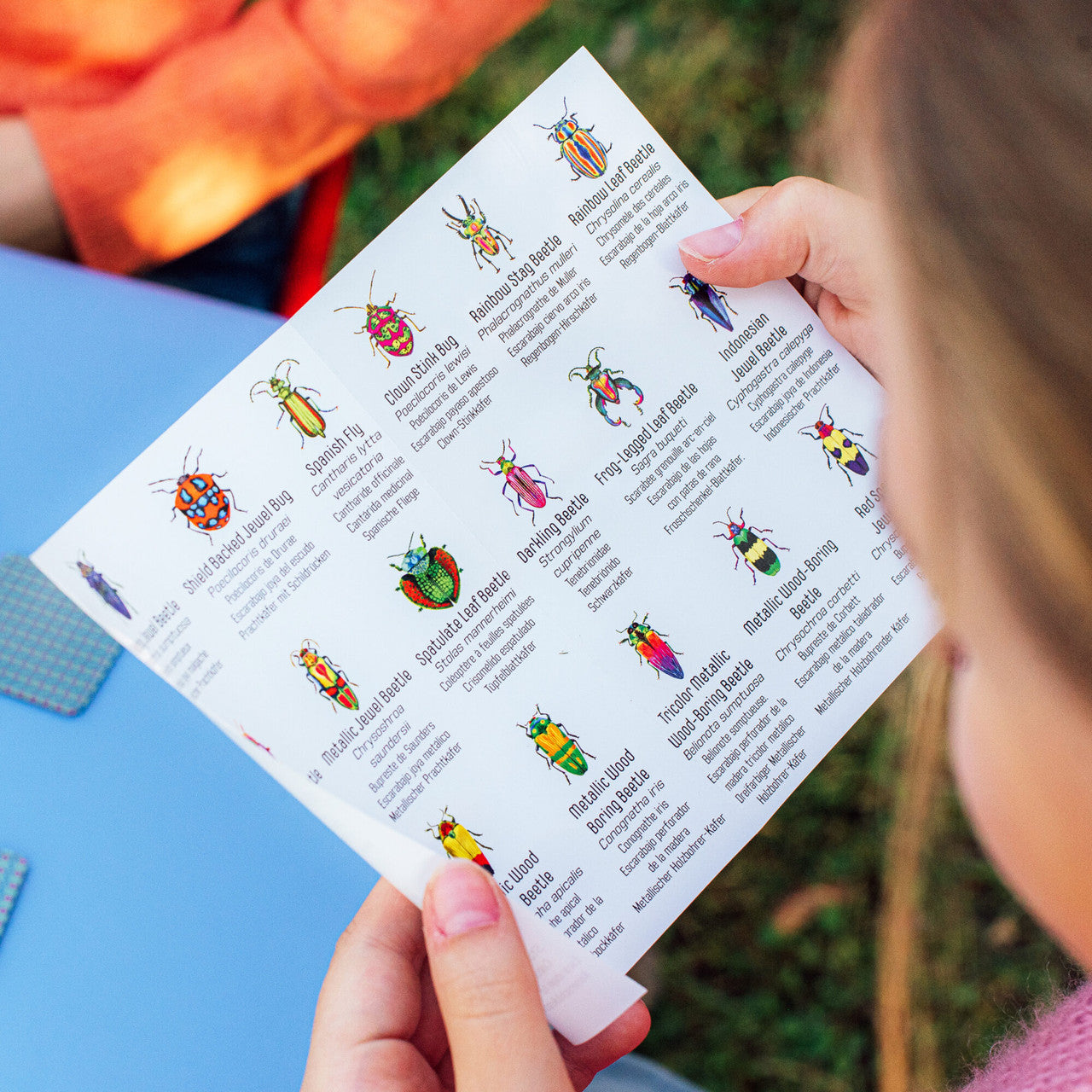 eeBoo - Memory & Matching Game – Little Beetles