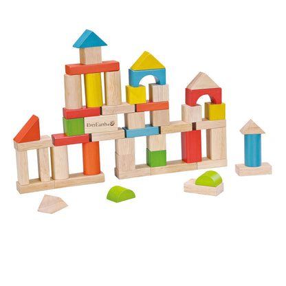 Everearth - 50pc Building Blocks