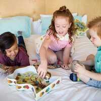 Educational Insights - The Sneaky Snacky Squirrel Game