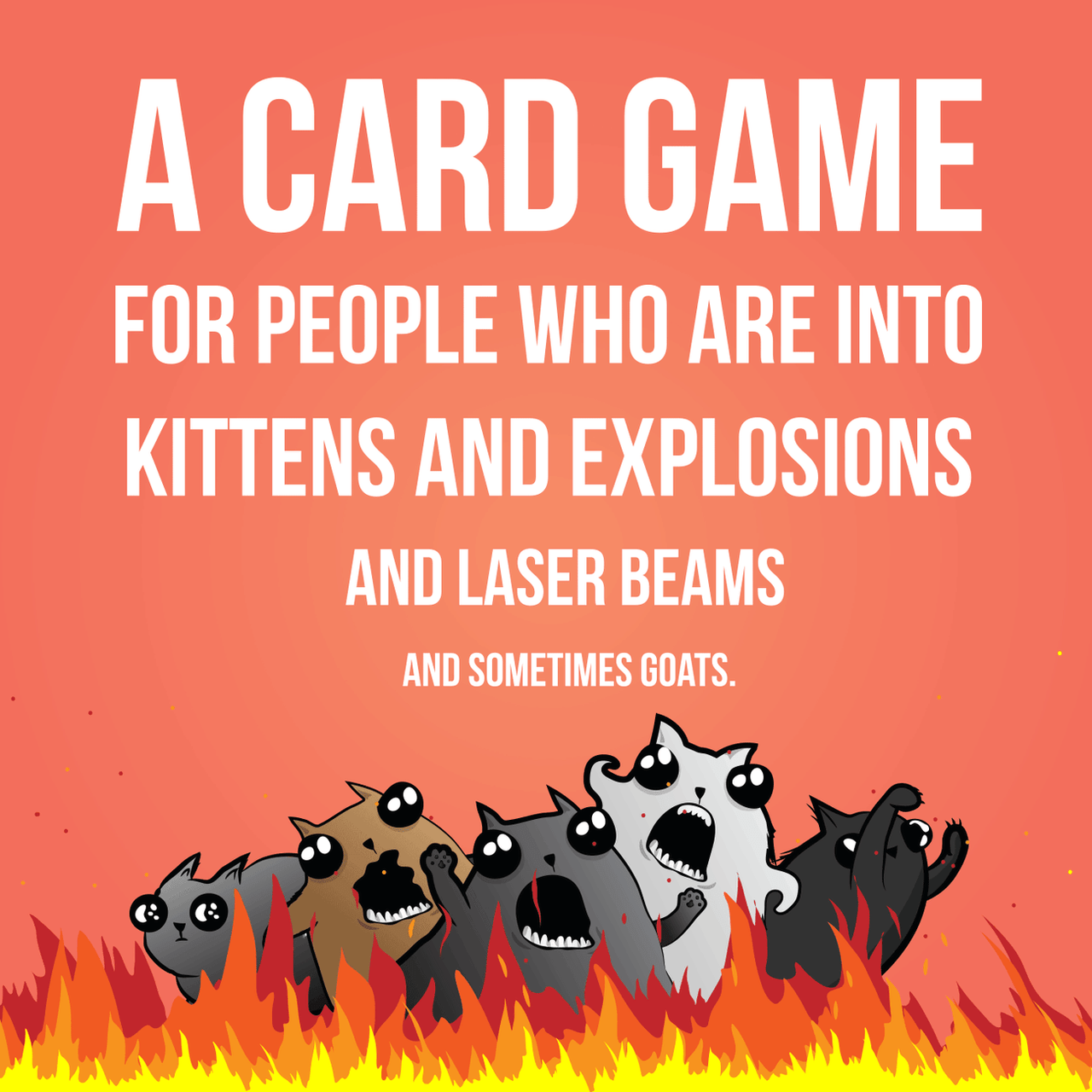 Barking Kittens