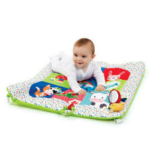ELC - Blossom Farm Activity Playgym
