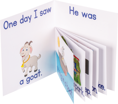 Learning Can Be Fun - My First Readers! Set 3