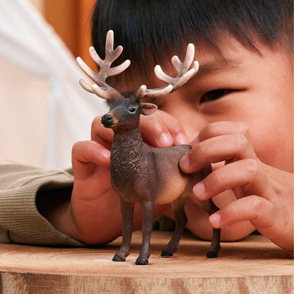 Schleich - Elk 14992