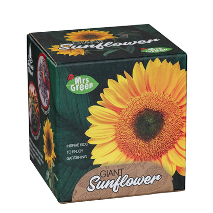 Mrs Green - Giant Sunflower