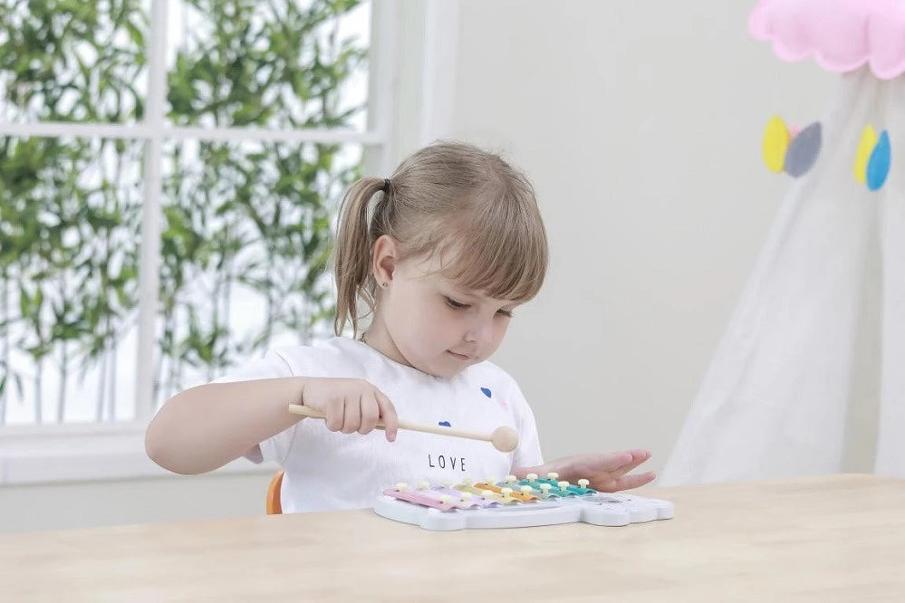 PolarB - Pastel Metal Xylophone | Musical Instrument for Toddlers