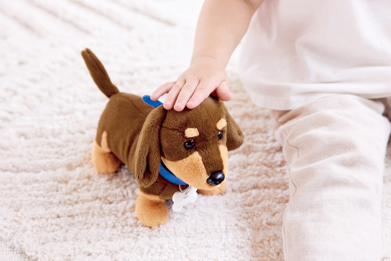 Hape Puppy Care Clinic Vet Set