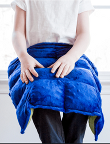 Sensory Genius – Weighted Lap Blanket